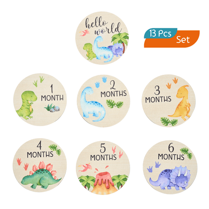 Baby Milestone Discs Set - Dinosaur